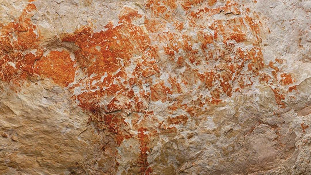 World's Oldest Cave Art Discovered in Indonesia