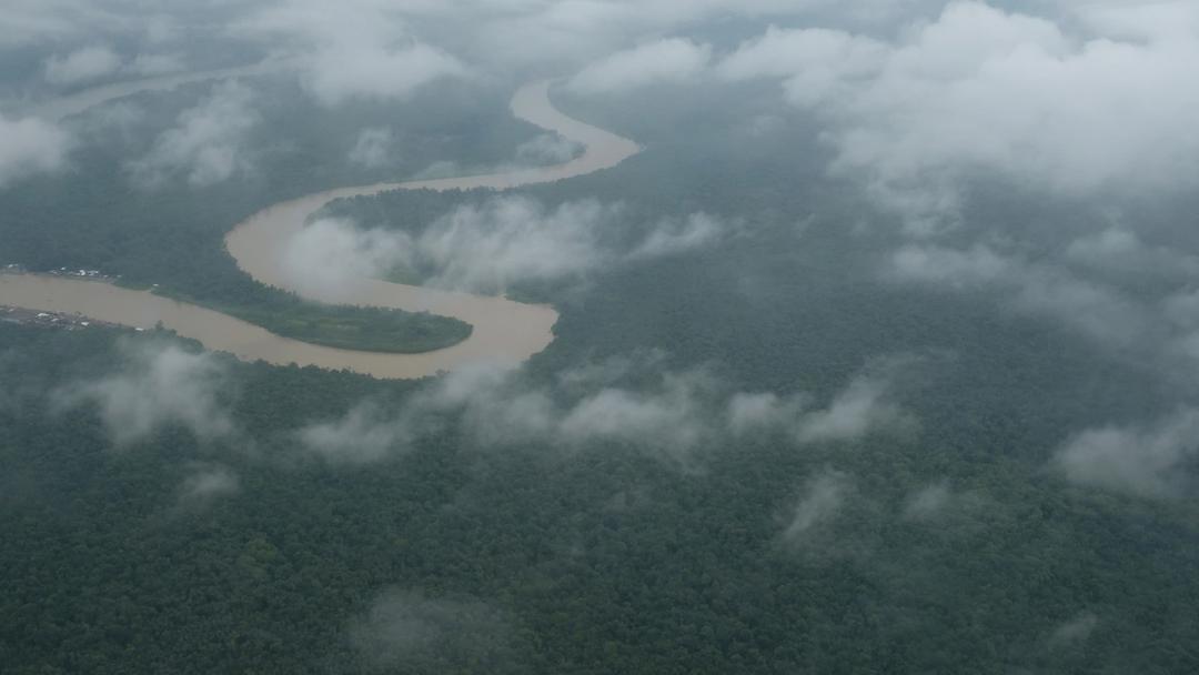 Deforestation in Colombia Falls to 23-Year Low